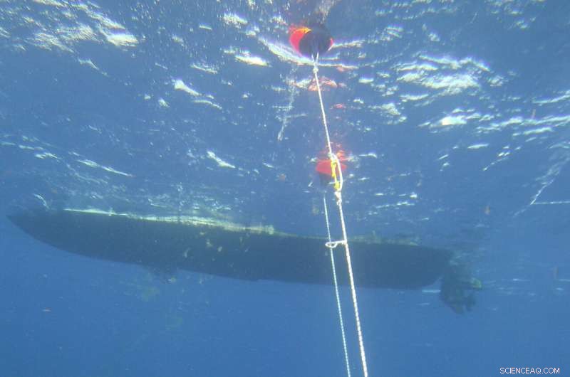 Ancient Volcanoes Sequestered Ocean Carbon—Humans Now Surpass Natural Rates