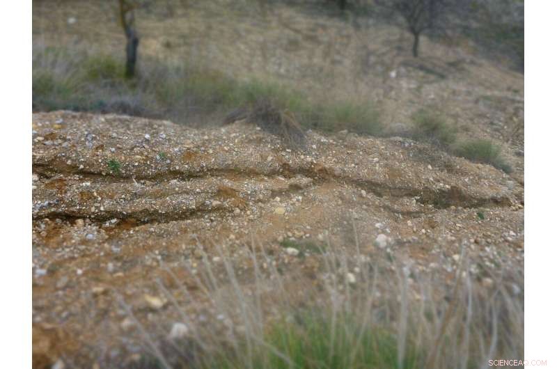Global Study Shows Soils Facing Urgent Decline, Conservation Actions Offer Hope