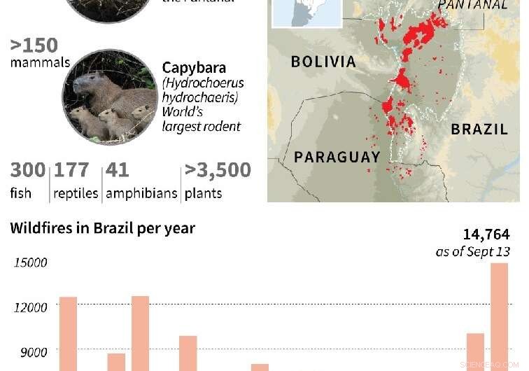 Urgent Battle Against Fires Threatening the World’s Largest Tropical Wetlands