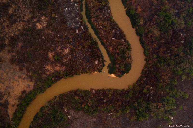 Urgent Battle Against Fires Threatening the World’s Largest Tropical Wetlands