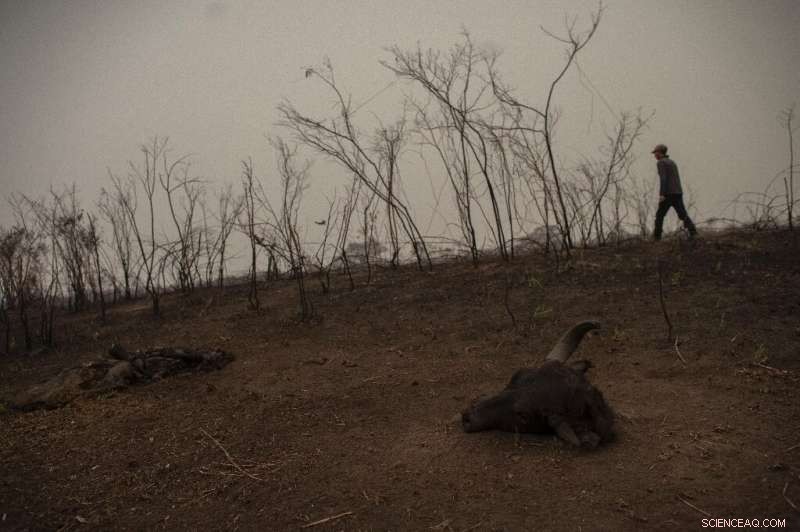 Urgent Battle Against Fires Threatening the World’s Largest Tropical Wetlands
