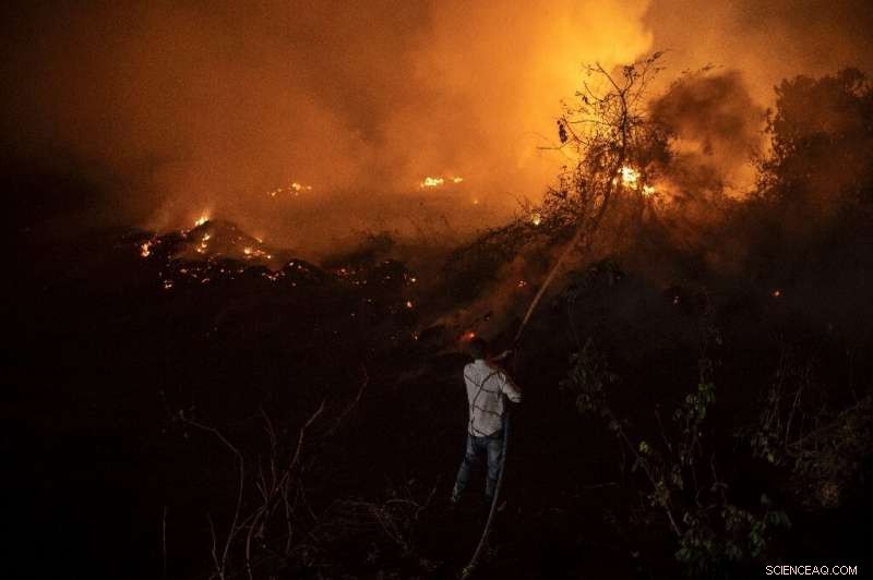 Urgent Battle Against Fires Threatening the World’s Largest Tropical Wetlands