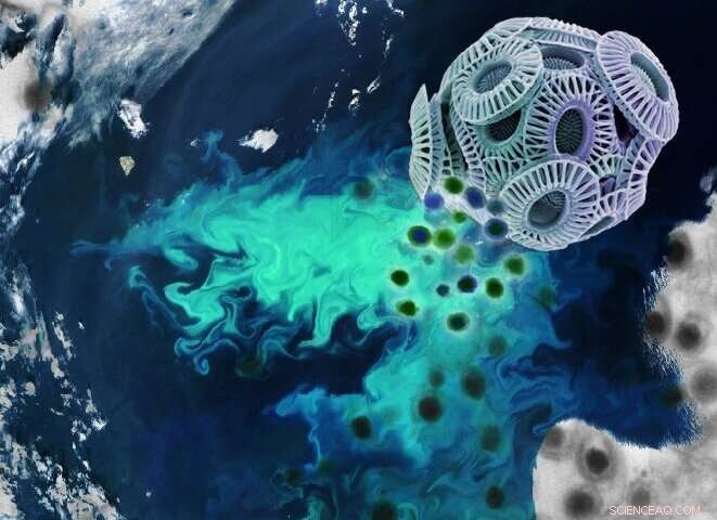 Viruses Deliver a Fatal Blow to Ocean Algae Populations