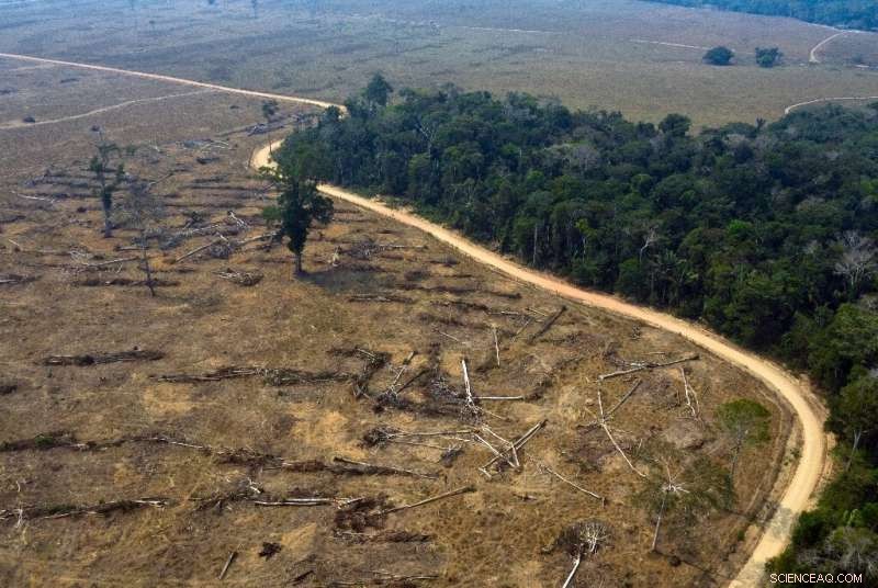 UN Warns: Global Targets for Biodiversity Protection Likely to Be Missed