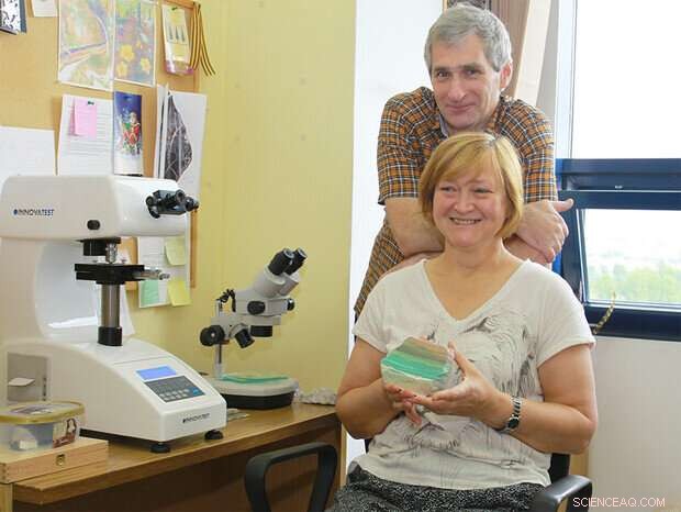 Priscillagrewite: A Newly Discovered Mineral Honoring Nebraska Geologist Priscilla Grew