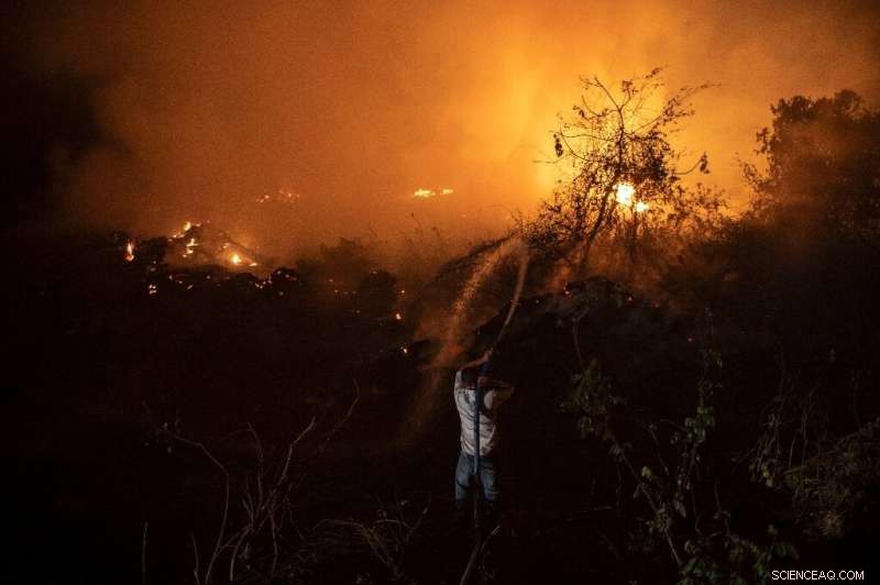 Brazil s Pantanal Wildfires: Only Rain Can Save Them