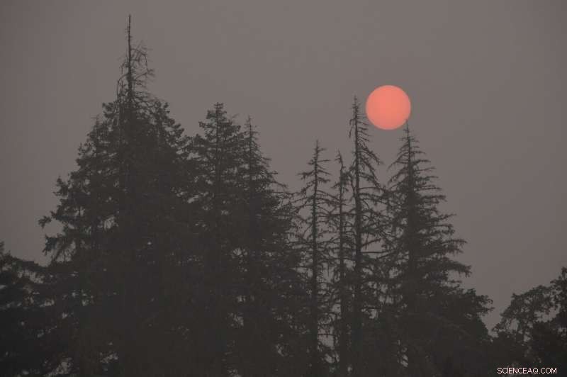 US Wildfires Emit Smoke that Reaches Europe – Satellite Data Confirms