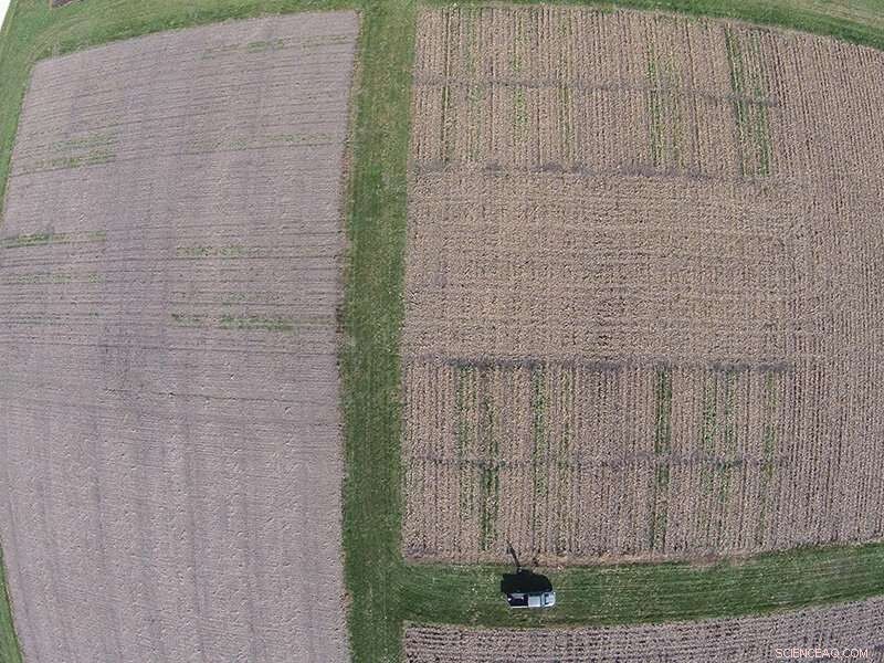 Select the Ideal Cover Crop for Optimal Soil Protection