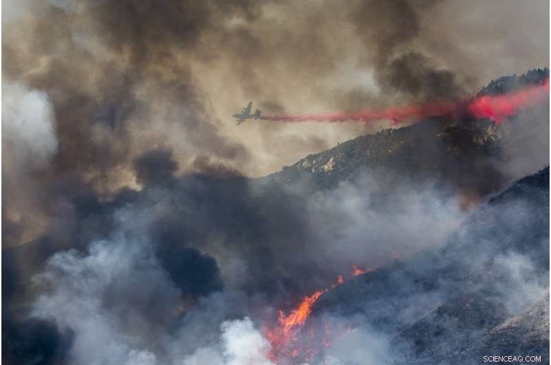 Lightning Storms and Easterly Winds: The Catalyst Behind Escalating Wildfires