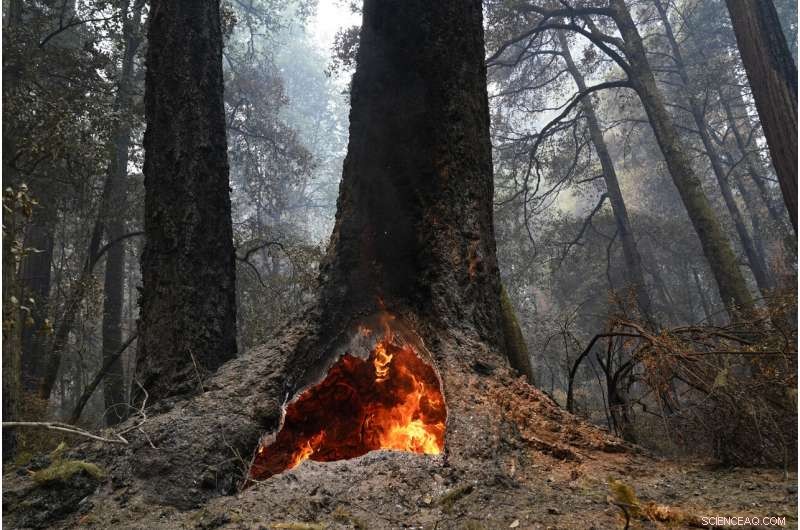 Lightning Storms and Easterly Winds: The Catalyst Behind Escalating Wildfires