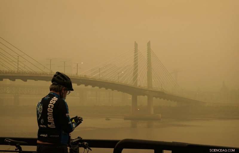 Lightning Storms and Easterly Winds: The Catalyst Behind Escalating Wildfires