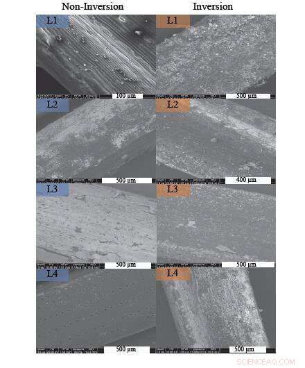 Evergreen Needles Serve as Natural Air Quality Monitors