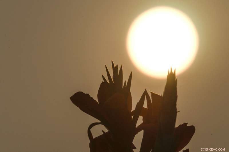 Western Wildfire Smoke Blurs East Coast Skies, Creates Vivid Sunsets