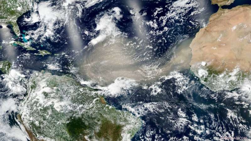 Saharan Dust Reaches Amazon: Quantitative Insights from University of Miami Research