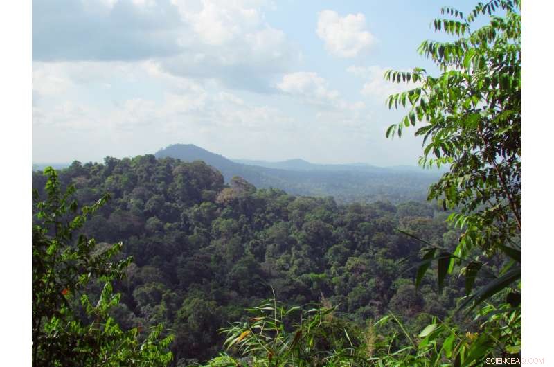 Brazil s Indigenous Mining Policy Threatens a $1 Billion Backfire