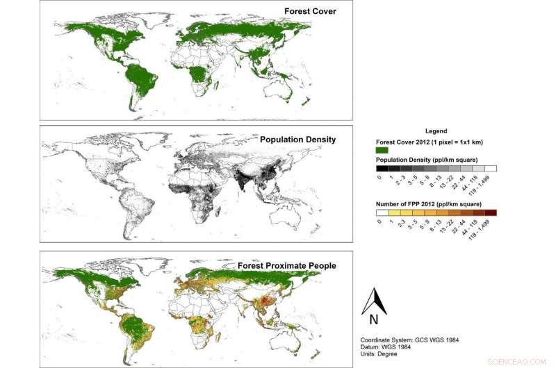 Mapping the 1.6 Billion People Living Near Forests: A Global Overview