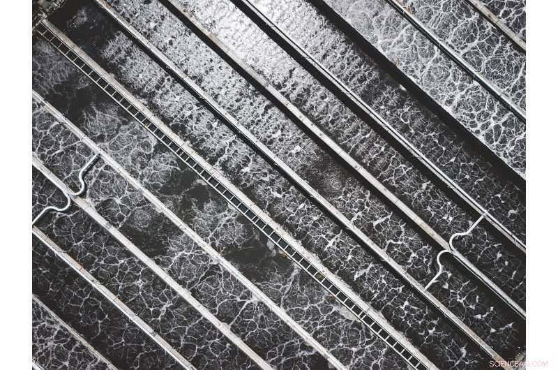 Circular Economy: The Solution to Reviving Our Water System