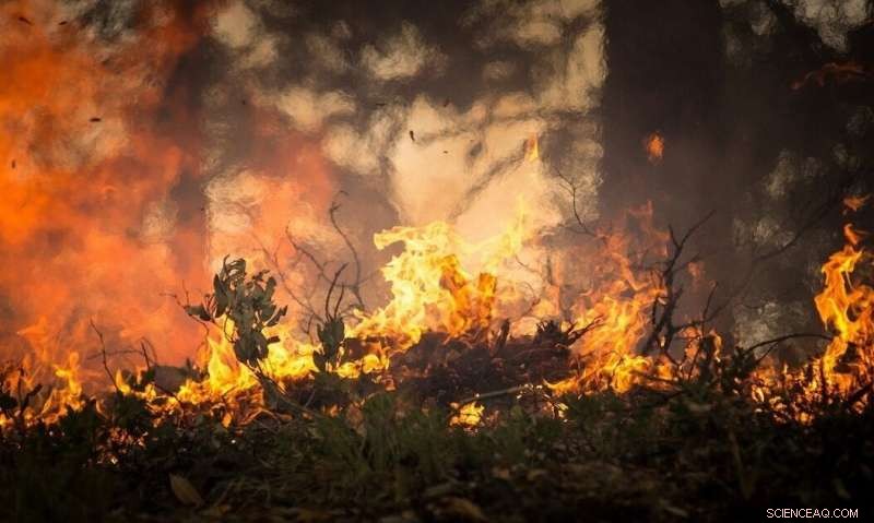 West Coast Wildfires: Health, Community, and Environmental Impacts Beyond Evacuations