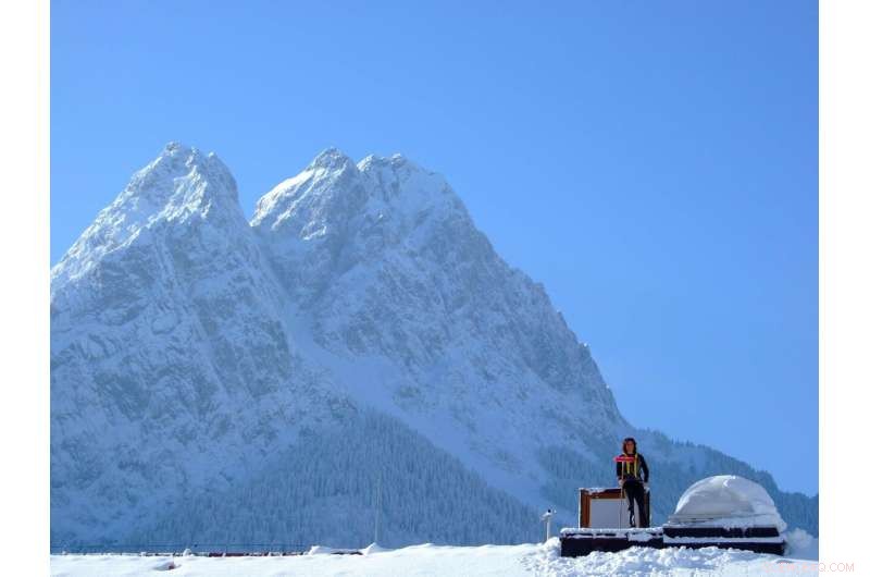 COVID‑19 Restrictions Have Not Yet Reduced Atmospheric CO₂ Levels