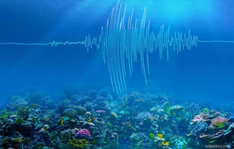 Accurate Ocean Temperature Measurement Through Sound Speed Analysis – A Caltech & CAS Innovation