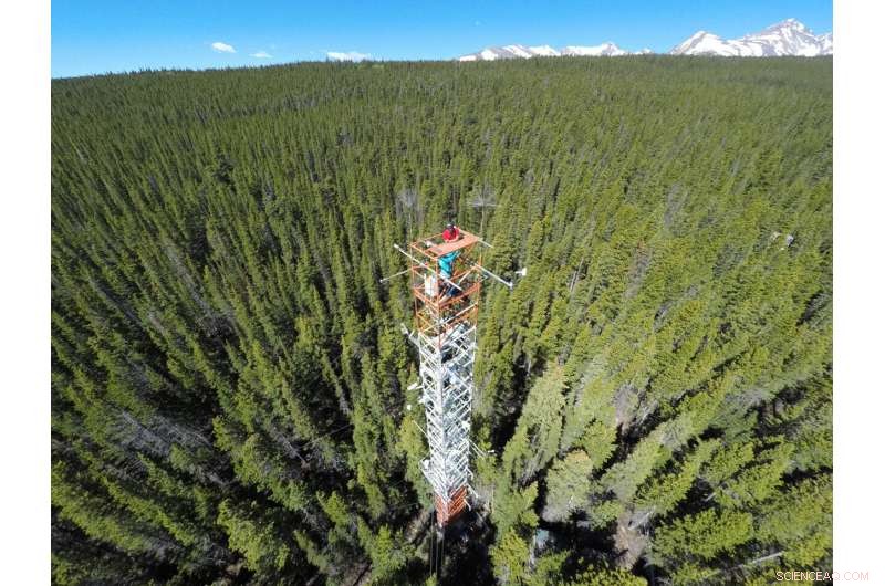 Integrating Dual Instruments Enhances Climate Change Insights