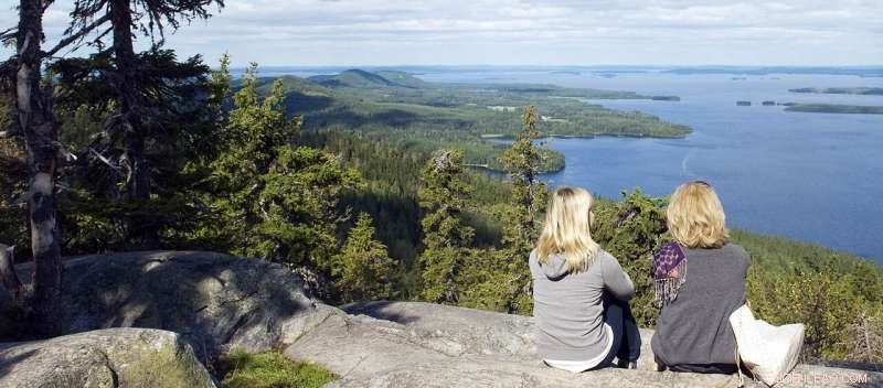 Harmonizing Nature Conservation and Tourism: Sustainable Solutions in Koli National Park