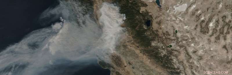 Wildfire Emissions Significantly Degrade Global Air Quality