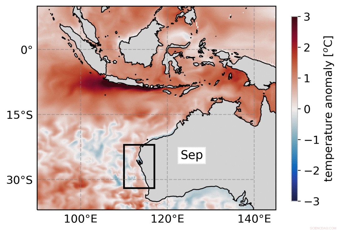 New Research Uncovers Links Between Shifting Ocean Currents and Marine Heatwaves