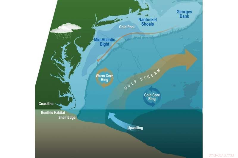 New Research Uncovers Links Between Shifting Ocean Currents and Marine Heatwaves