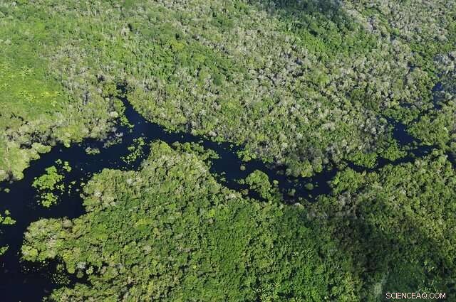 Study Reveals Efforts to Cut Amazon Deforestation Overestimated – Key Findings