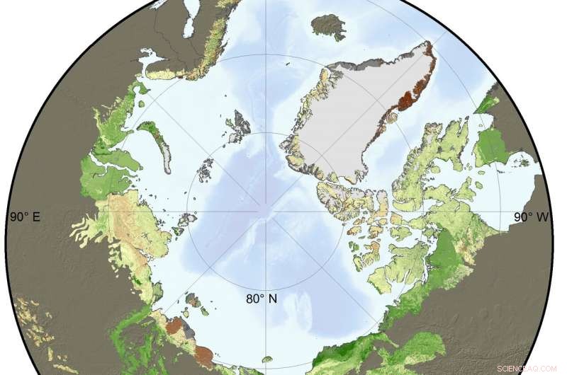Arctic Greening Accelerates as Temperatures Rise