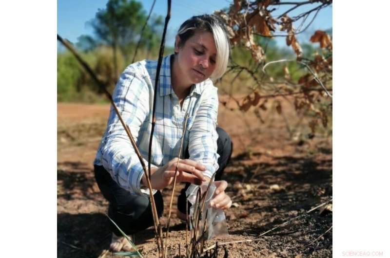 Amazon s Climate Crisis: Unregulated Fires Drive Region Toward Catastrophic Tipping Point