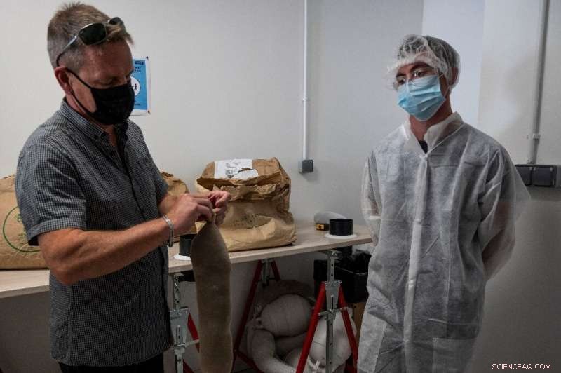 Human Hair Recycling Initiative Aims to Clean Up Coastal Oil Pollution