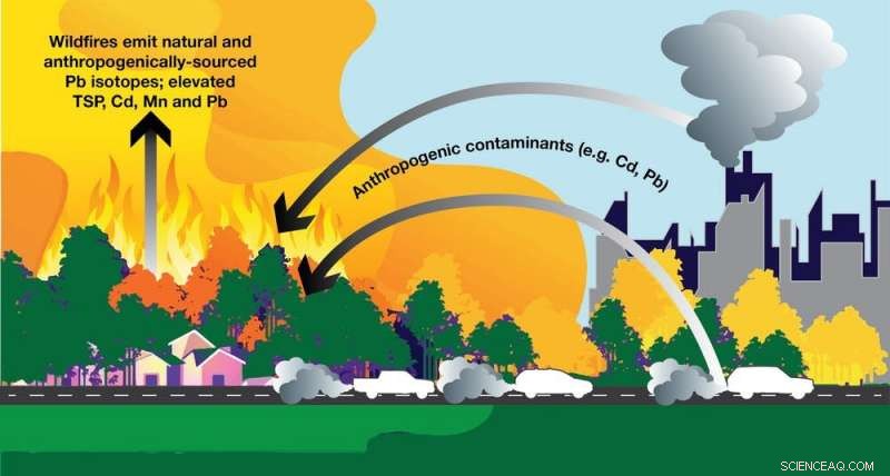 Bushfires Unleash Decades of Stored Pollutants From Forests