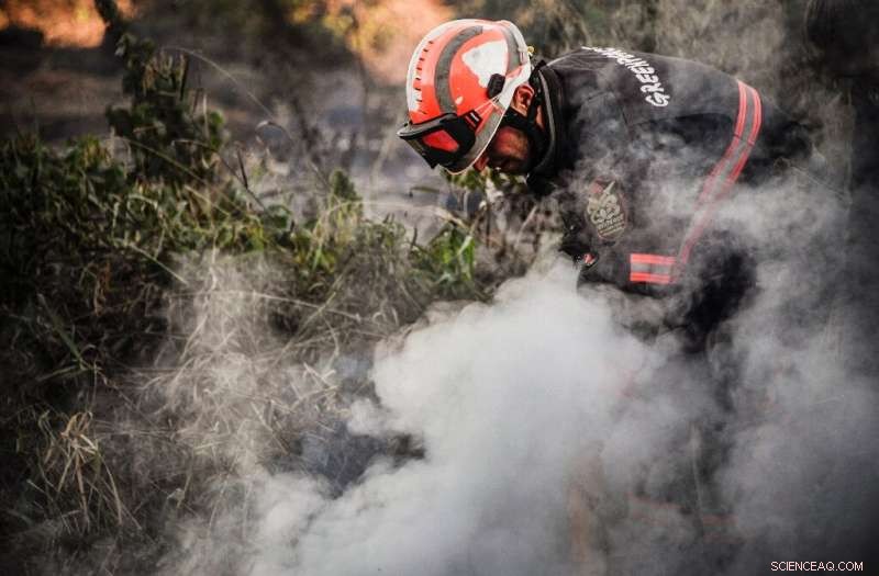 Siberian Forests Face Deadly ‘Zombie’ Fires Fueled by Climate Change