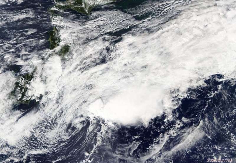 NASA Captures Extratropical Storm Dolphin in the Northwestern Pacific