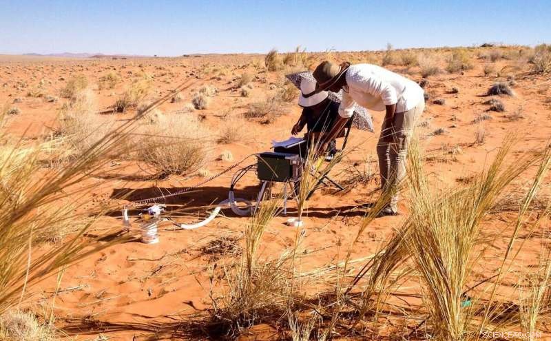 Scientists Examine Climate Change Effects in One of the World s Driest Deserts