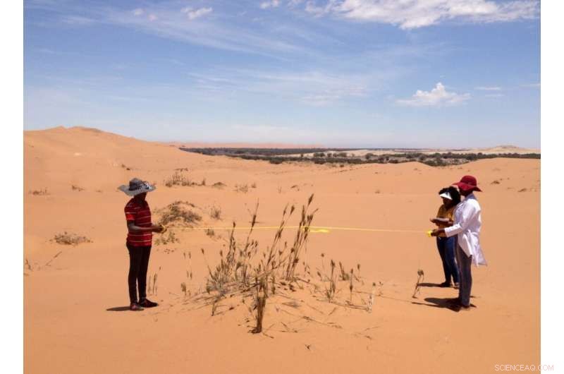 Scientists Examine Climate Change Effects in One of the World s Driest Deserts