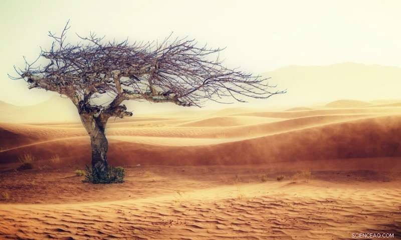 Climate Pledges Fall Short: Tackling Warming Without a Solid Plan