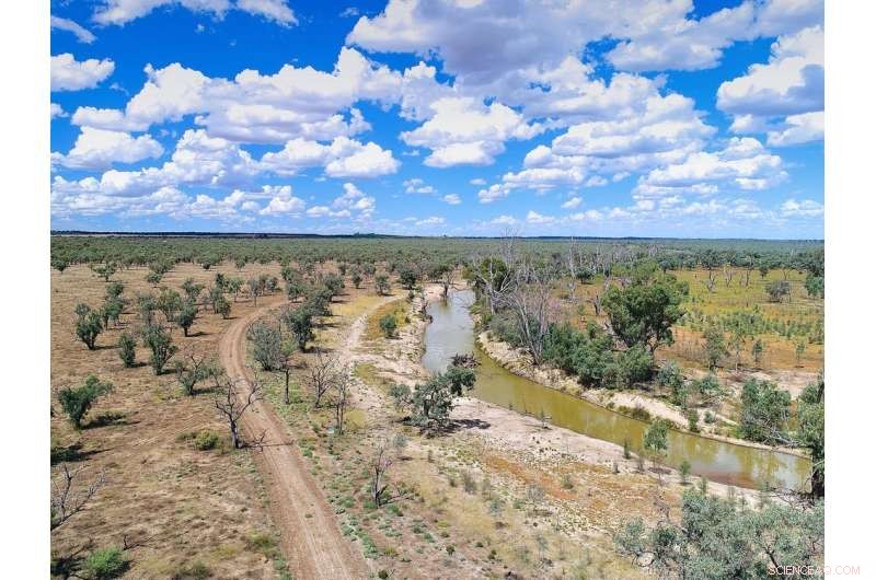 35 Years of Rainfall Data Uncover How Droughts Begin in the Murray‑Darling Basin