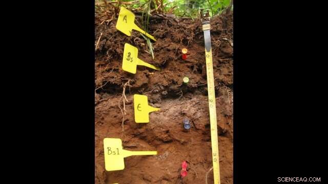 Revolutionary Soil Organic Matter Analysis Enhances Climate Change Forecasts
