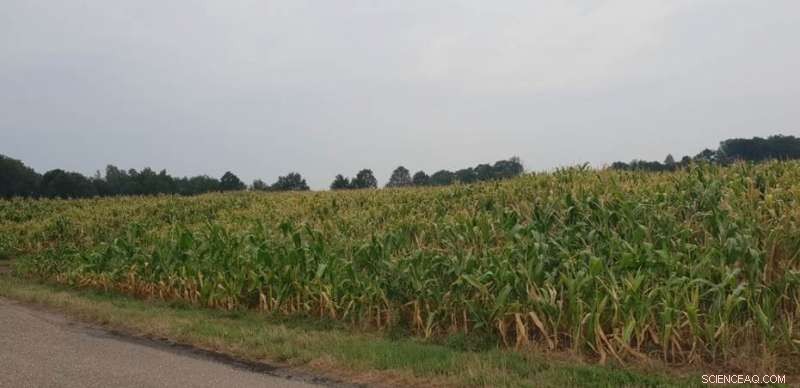 Sewage Reuse: A Groundwater-Driven Solution to Global Water Shortages