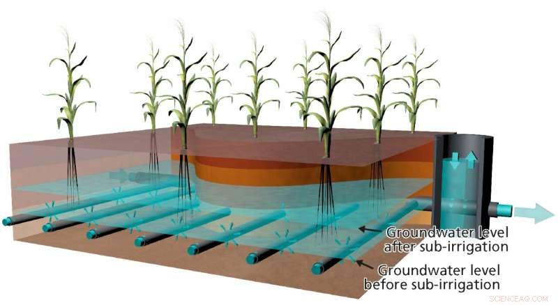 Sewage Reuse: A Groundwater-Driven Solution to Global Water Shortages