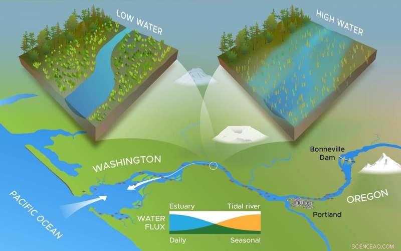 Comprehensive Watershed Analysis Driving Effective Wetland Restoration