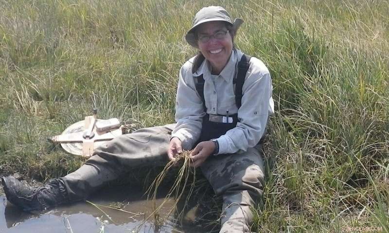 Comprehensive Watershed Analysis Driving Effective Wetland Restoration