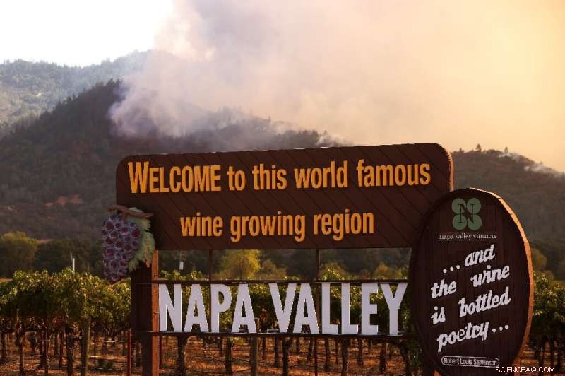 California Wine Country Devastated by Wildfires; Thousands Forced to Evacuate