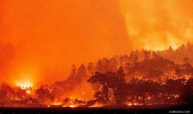 California Wine Country Devastated by Wildfires; Thousands Forced to Evacuate
