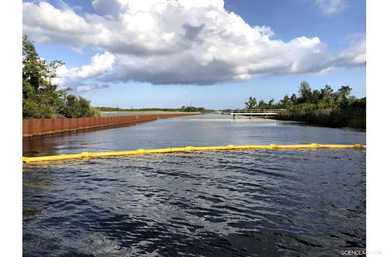 Upcoming Regulation Could Strip Pollution Protections from Popular Lakes