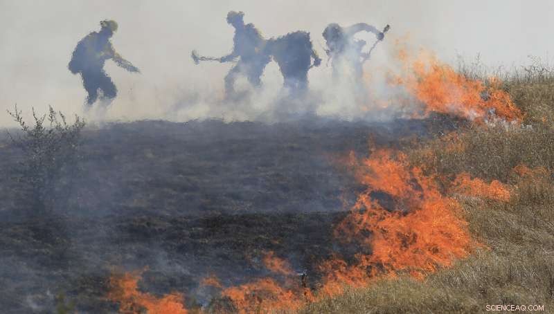 California Prepares for Power Outages Amid Hot, Windy Conditions