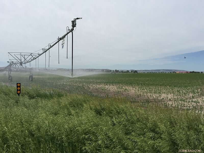 Discover Sustainable Agricultural Mulch: Eco-Friendly Soil Management